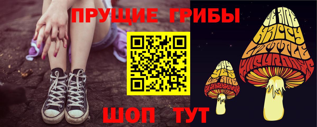 Псилоцибиновые грибы MAGIC MUSHROOMS  Вход с VPN  магазин продажи   Новошахтинск 